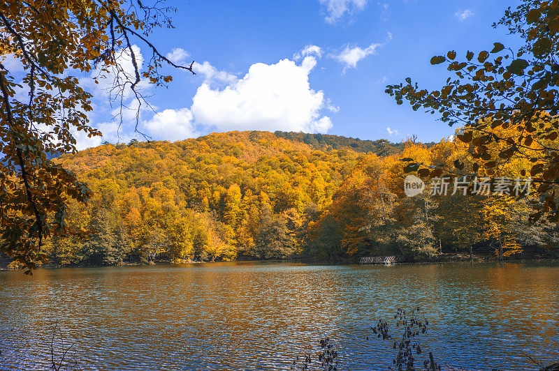 Yedigoller湖国家公园在秋天的mengen bolu土耳其